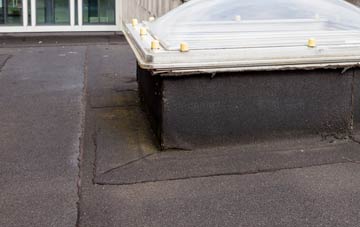 disadvantages of Dawlish Warren flat roofs