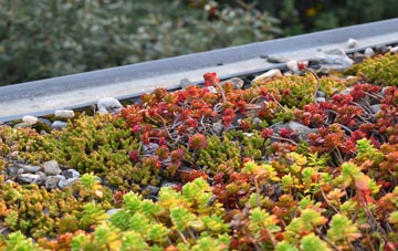 the cost of Dawlish Warren green roof installation