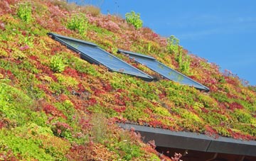 Dawlish Warren living roof systems