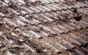 Dawlish Warren roof cleaning companies